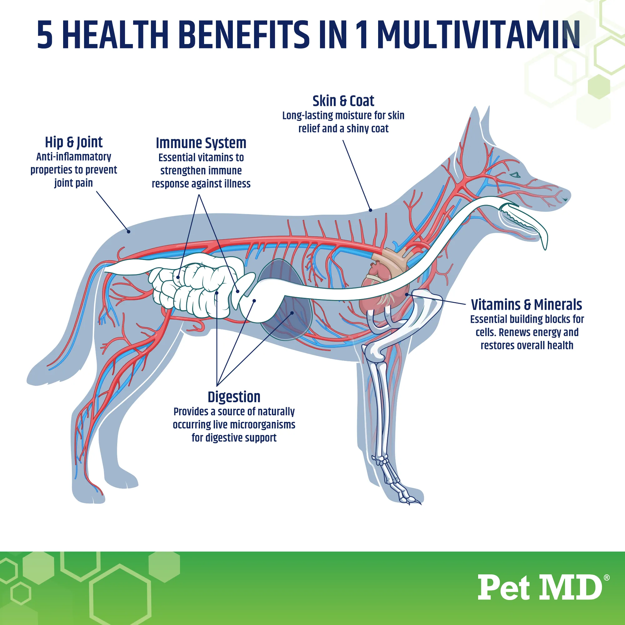 5-in-1 Multivitamin Chews for Dogs - 120 Count