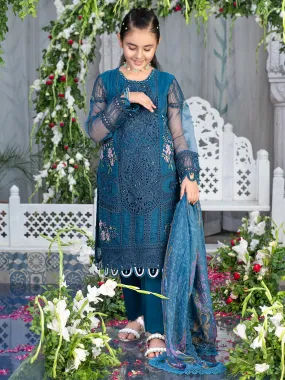 Ally's Kids Blue Embroidered Organza Suit (AL-4005)