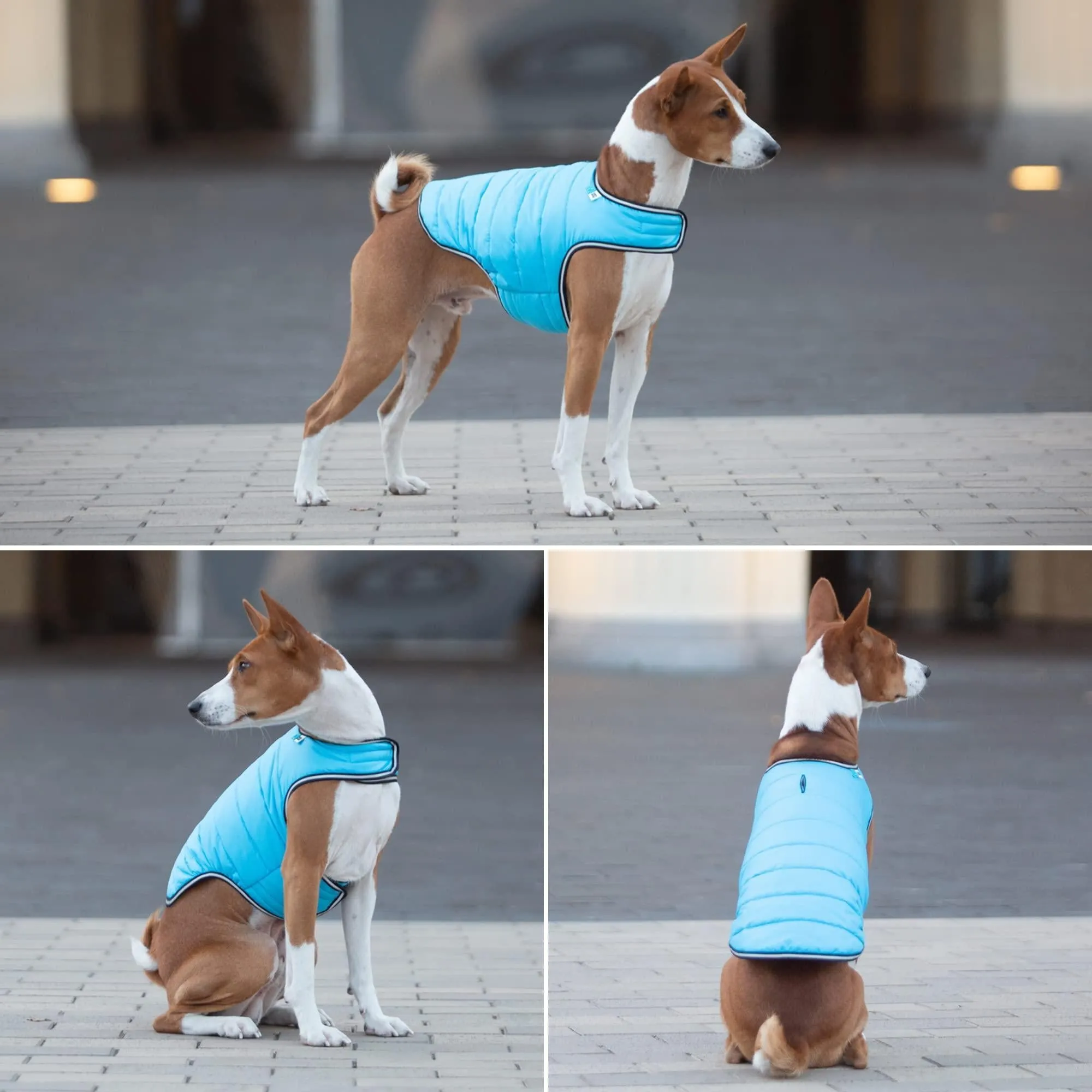 Blue Dog Winter Coat for Large Dogs Waterproof Dog Warm Jacket XXSmall Size