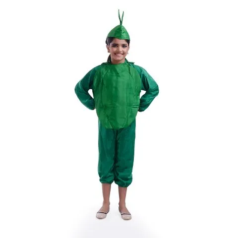 Capsicum Costume for boys and Girls for Fancy dress competitions