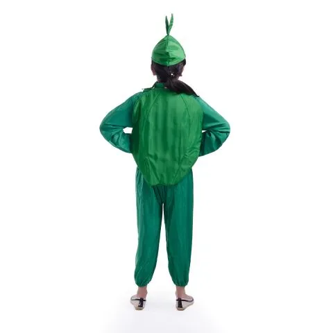 Capsicum Costume for boys and Girls for Fancy dress competitions