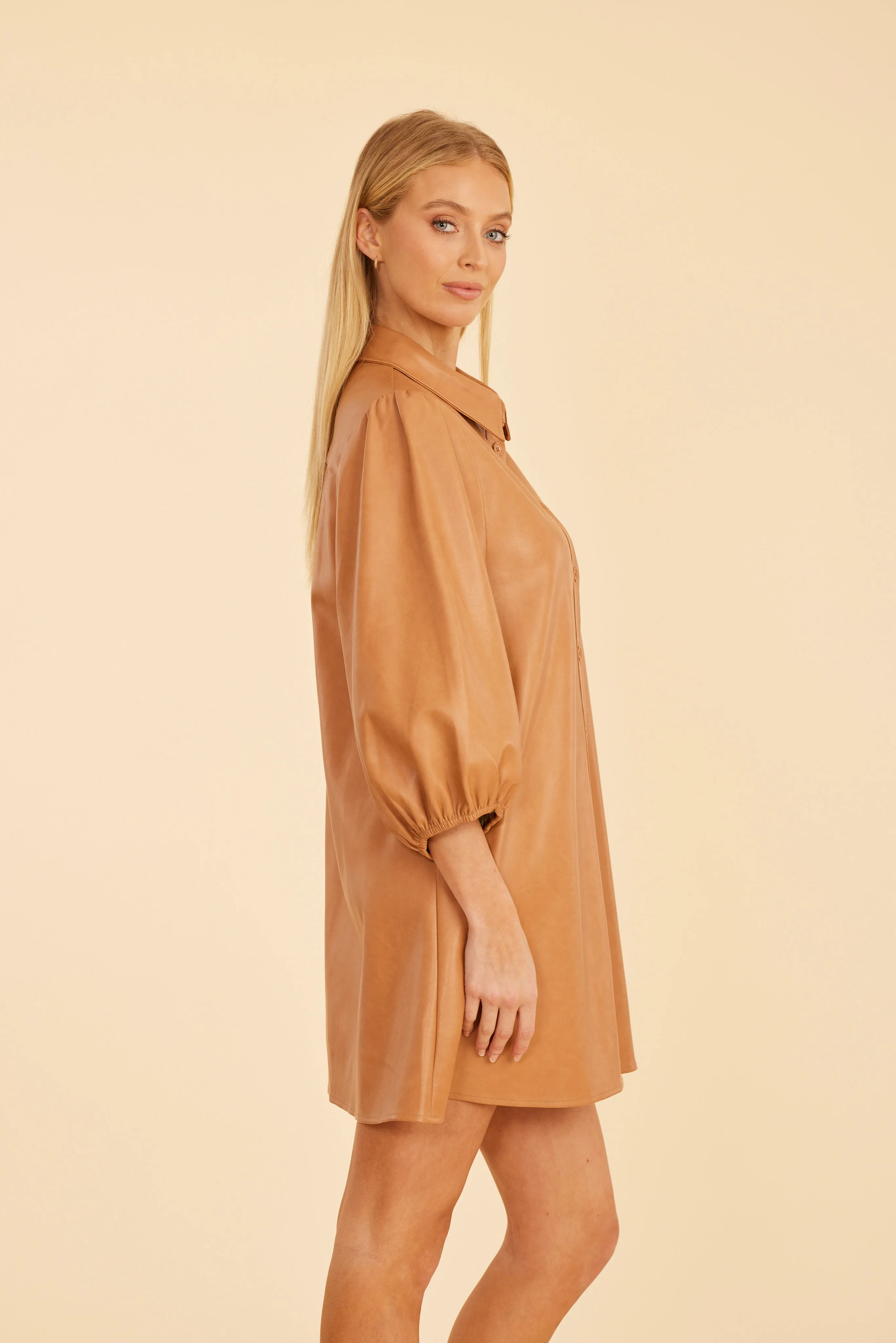 Classic Faux Leather Dress with Puff Sleeves