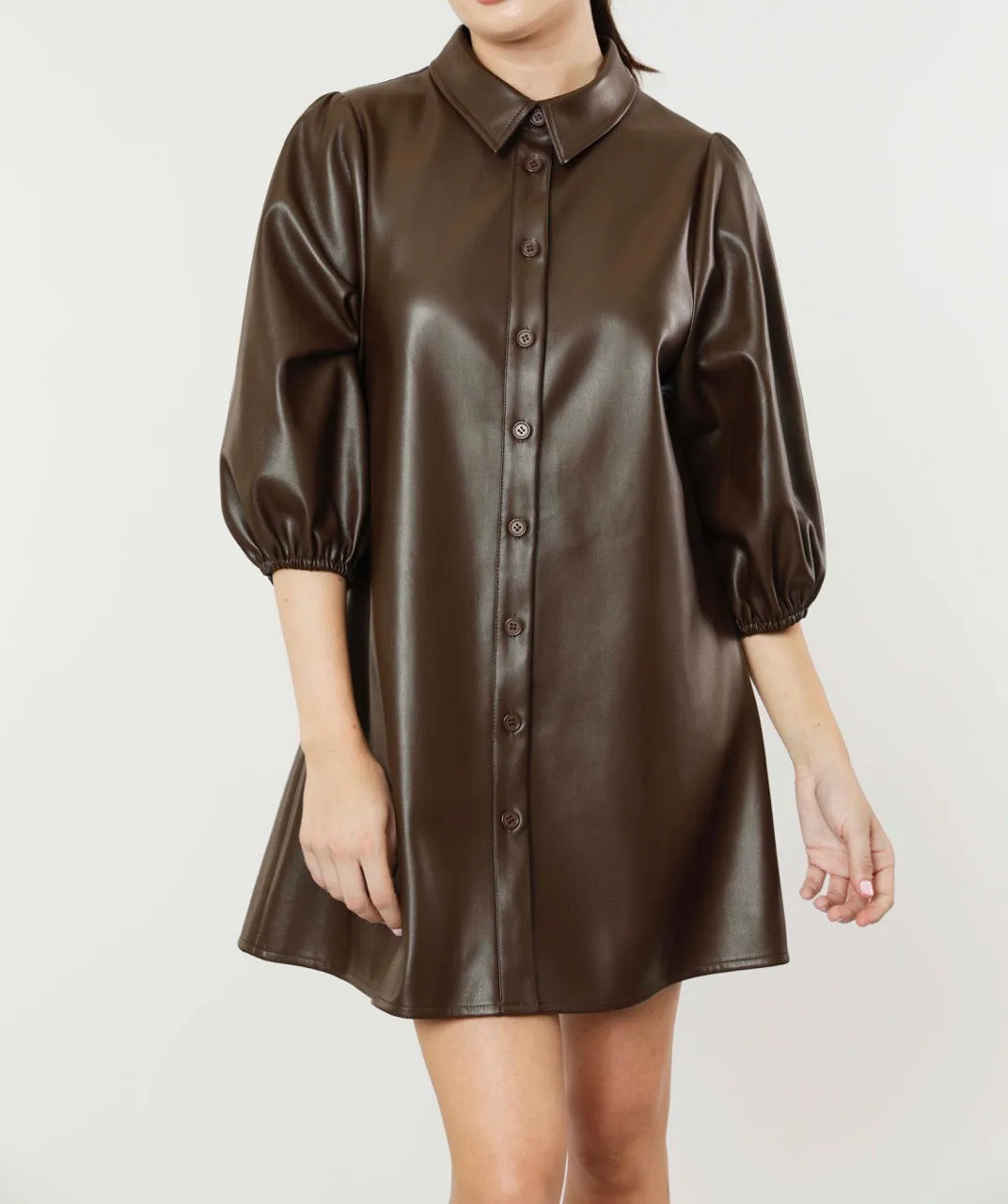 Classic Faux Leather Dress with Puff Sleeves