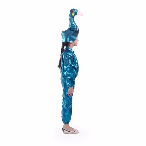 Peacock Costume For Kids