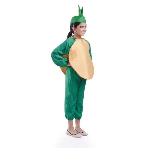 Potato vegetable dress for boys and Girls for Fancy dress competitions