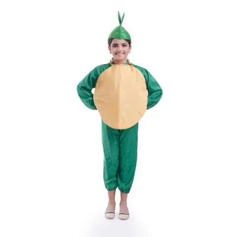 Potato vegetable dress for boys and Girls for Fancy dress competitions