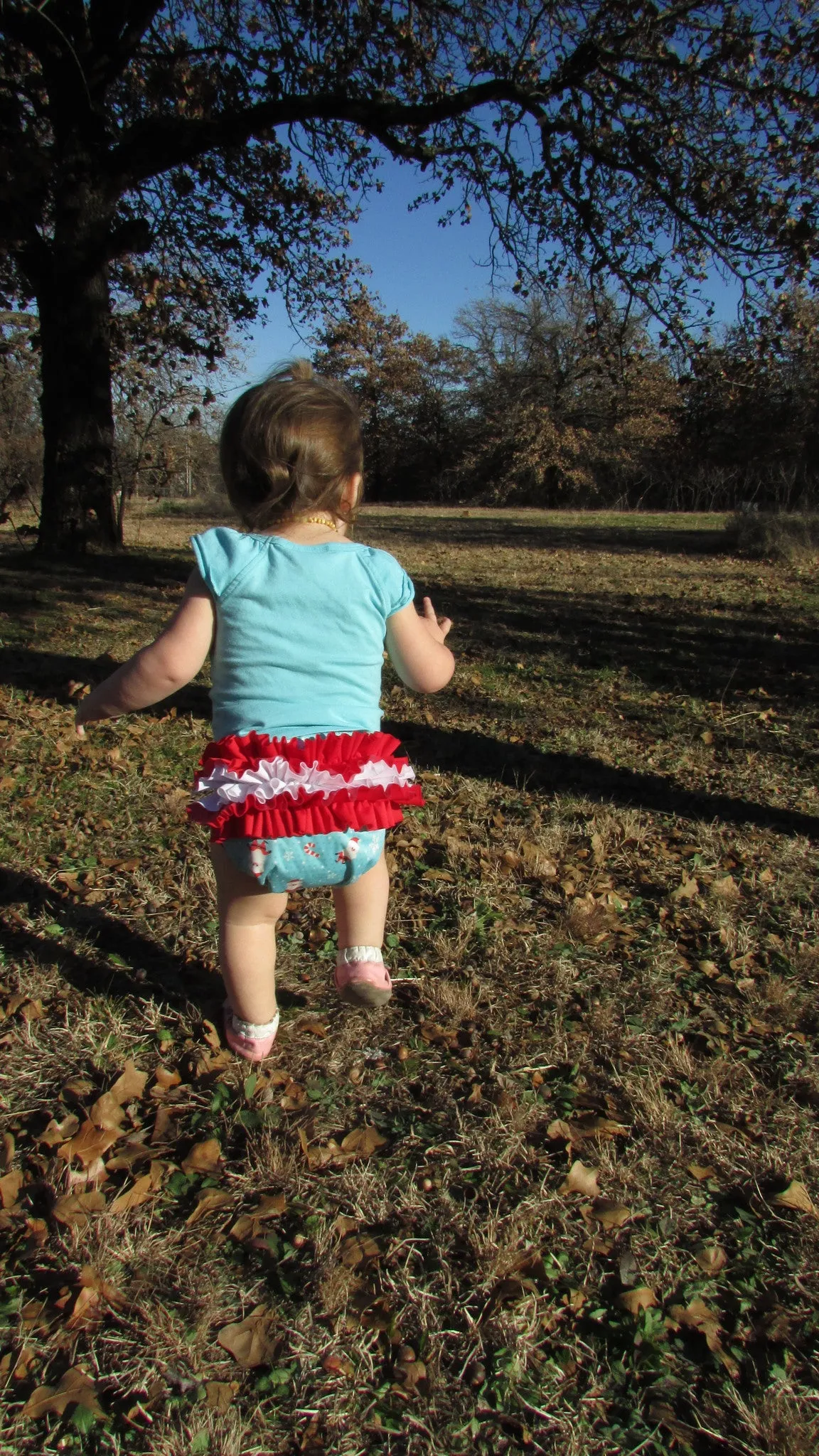 Prissy Pants Santa Claus Diaper Cover