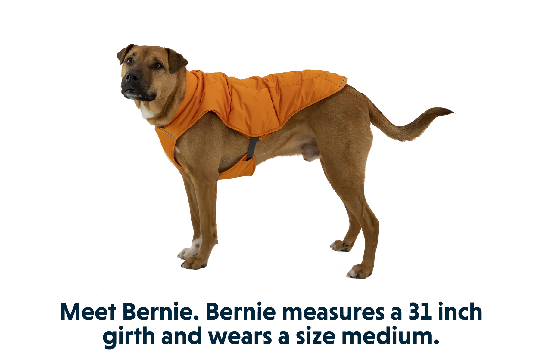 Quinzee™ Dog Puffer Jacket