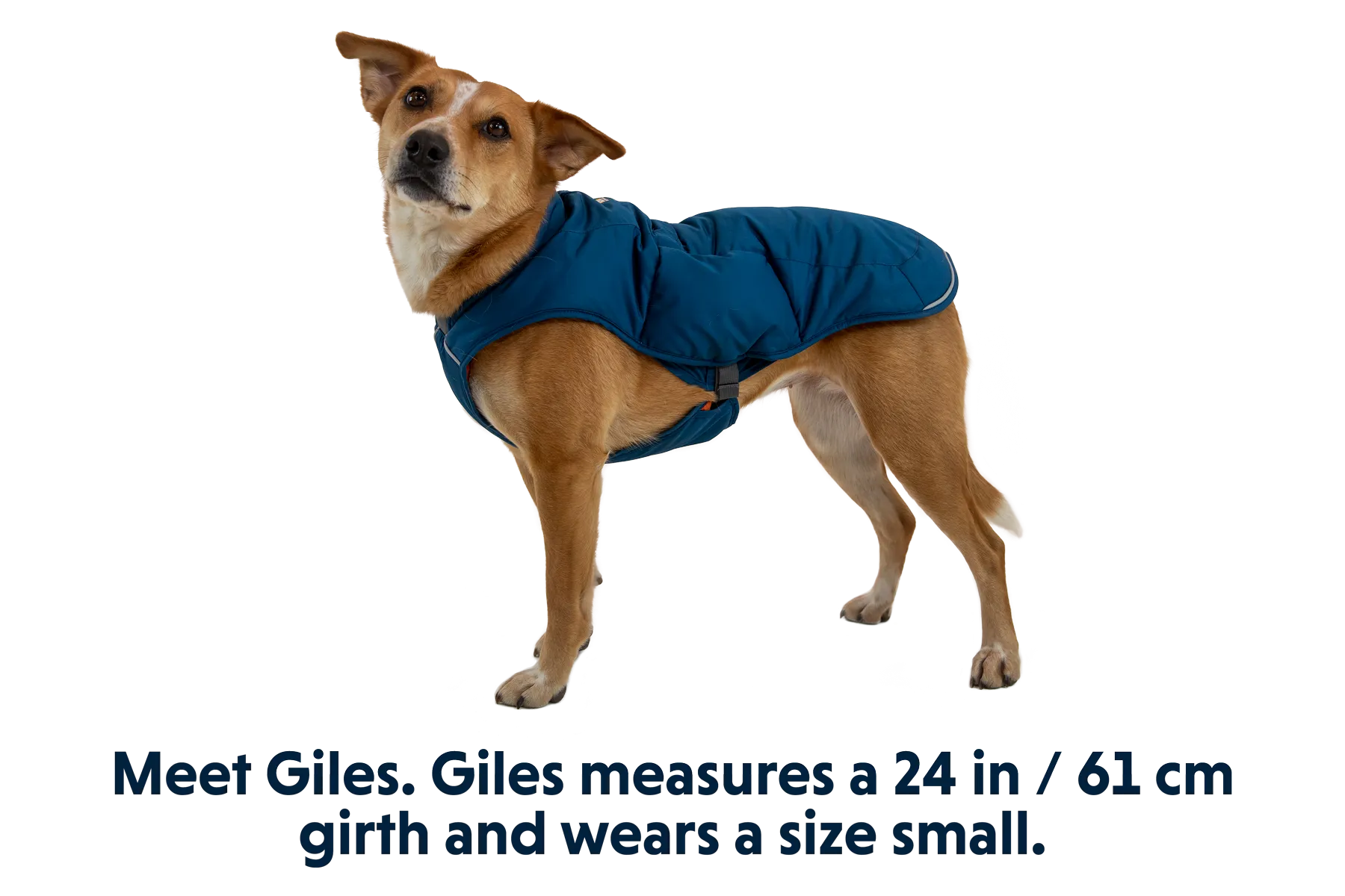 Quinzee™ Dog Puffer Jacket