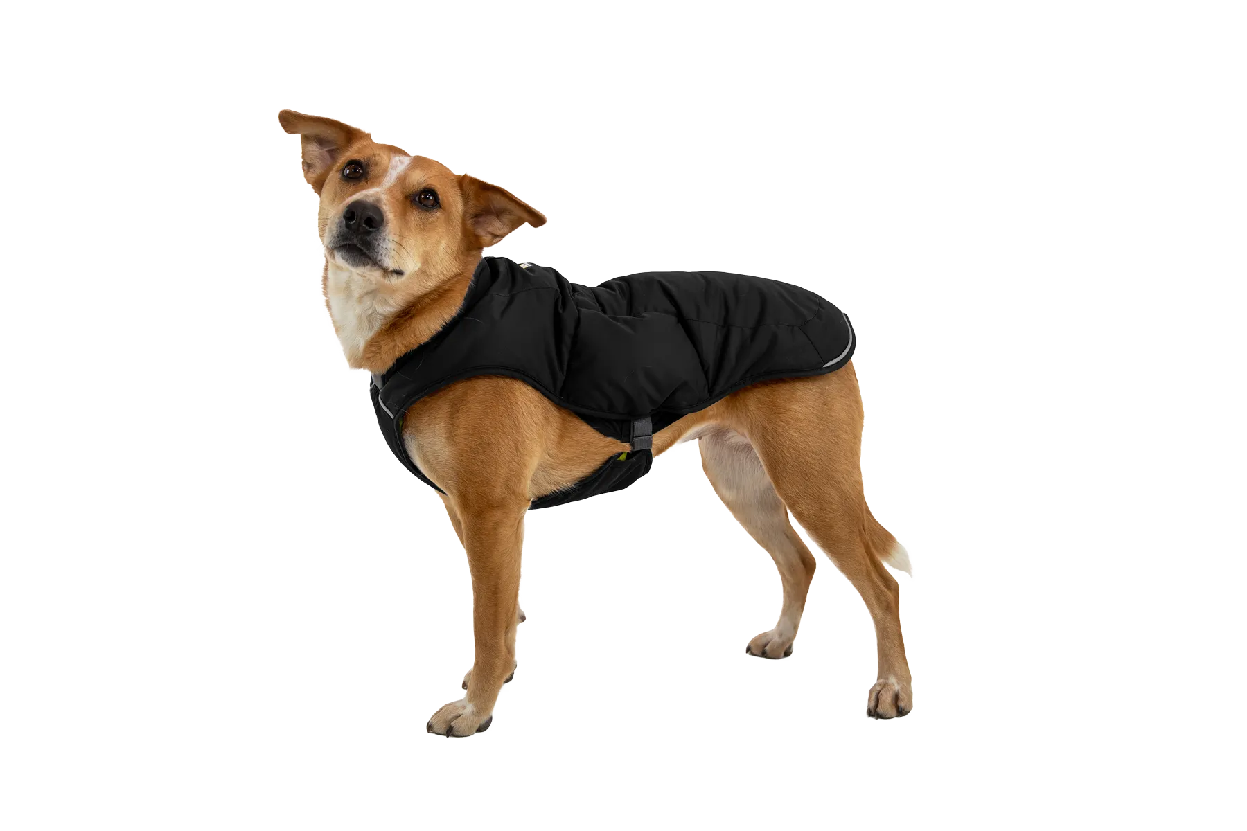 Quinzee™ Dog Puffer Jacket