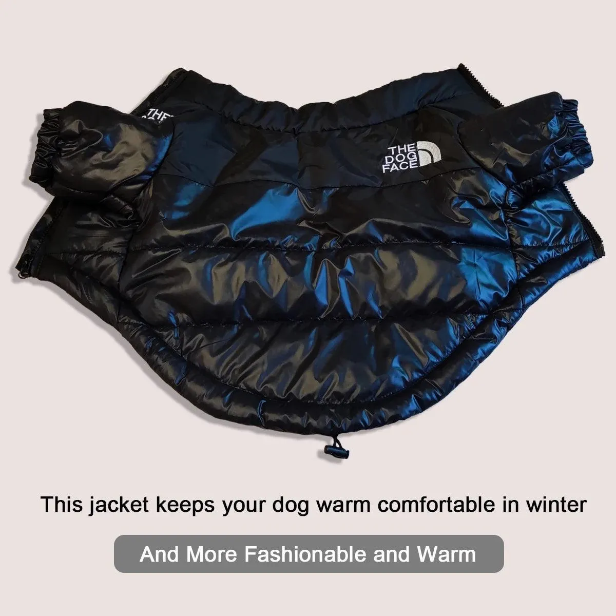 Winter Dog Jacket for French Bulldog